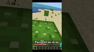 I spent 10 hours breaking this world record…