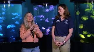 Ashley Meets the Trolls of the Virginia Aquarium!