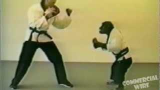 Amazing Monkey Spars Kung Fu With Black Belt Instructor