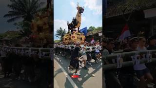 Kendaraan terakhir orang Bali #pelebonubud