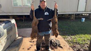 Nutria:  Catch, Clean and Cook. #billingsleybrandlures #trapper