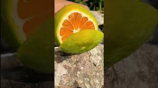 Oddly Satisfying Fresh Fruit Cutting In My Farm | How To Cut Fruit In My Farm #shorts