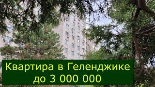 Купить КВАРТИРУ в Геленджике до 3 000 000 руб/Бюджетное жильё на КУРОРТЕ #Обзор#Геленджик#Квартира