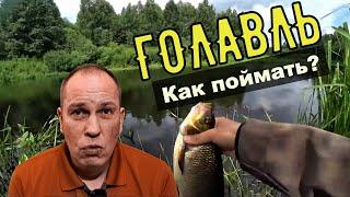 Как поймать голавля. Спиннинг, Катушка, Плетёнка, Приманки