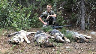 4 Wolves Down, Successful Hunt!!! - Stuck N the Rut 150