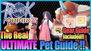 Real ULTIMATE PET Guide!! Gears with Tips Included!! [Ragnarok Origin Global]