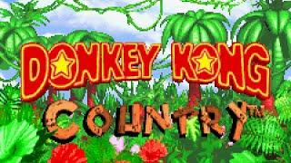 Donkey Kong Country (GBA) - 101% Longplay (No Damage)