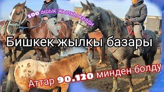 16.Ноябрь 500 Ашык жылкы тушут Аттар 90 мин сатылды Бишкек жылкы базар