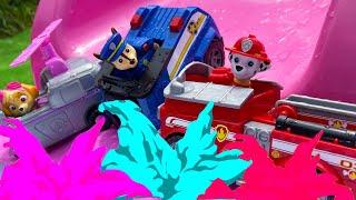 PAW PATROL FUNNY KIDS VIDEOS