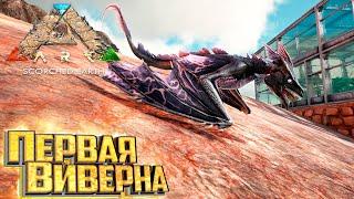 Воруем Яйцо ВИВЕРНЫ - ARK Survival Scorched Earth Выживание #7