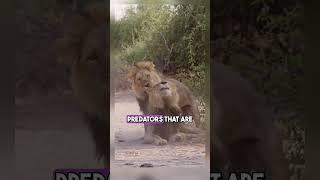 fascinating animal facts that were purposefully hidden from you!