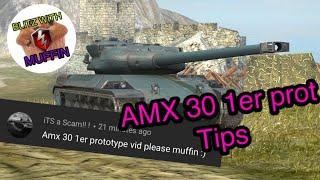 Tips and Tricks AMX 30 1er prot WOT Blitz