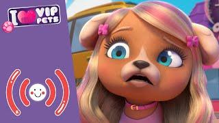 DAL VIVO  VIP PETS  LOOK DA PAURA, INIZIA L’AVVENTURA!  CARTONI ANIMATI per BAMBINI in ITALIANO!