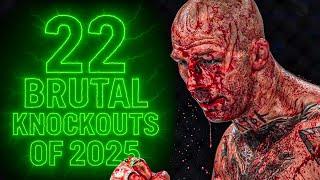 Brutal MMA Knockouts of 2025