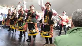 Slavic Gypsy Dance