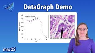 DataGraph Demo: Graphs & Images