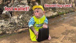 Cubis the monkey unexpectedly picks up a dropped wallet! What will he do?
