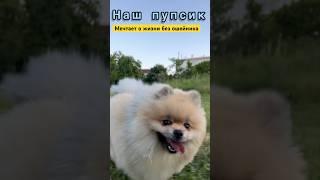 Наш пупсик мечтает 