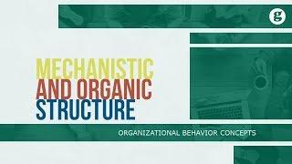 Mechanistic and Organic Structure