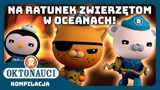 Oktonauci - ‍️ Na ratunek ZWIERZĘTOM w oceanach! ️ | Kompilacja | Całe odcinki