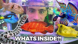 $11,000 MYSTERY FISH!! - Inside Thailand's Largest Aquarium Fish Market... (Part 2)