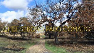 Hike Cheeseboro/ Palo Comado Canyons in Agoura Hills, California