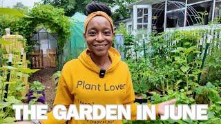 Urban Garden Tour (Week 7 - 2025 - Pt. 1) | Virginia, Zone 7B (I Don't Regret It!)