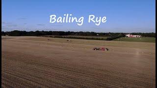 Bailing Rye