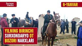 Yilning birinchi Surxon ot bozori narxlari • 6-yanvar, Surxondaryo, Sariosiyo, ot bozori narxlari