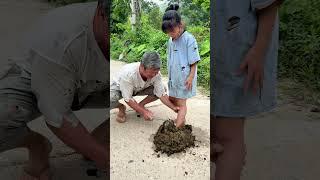 funny videos you shouldn't miss #funny #cute #woodscraft #comedy