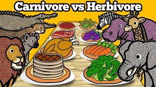 Carnivore vs Herbivore Animals | Safari Animals Food Matching Game for Children