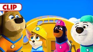 Pupstruction | Bailey's Birthday Coaster  | NEW Show | @disneyjr