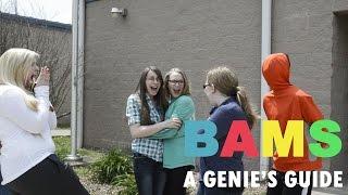 BAMS: A Genie's Guide