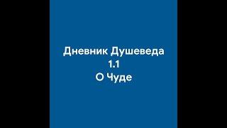 1.1 Дневник душеведа