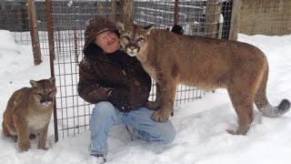 Mauled by Cougar, Max and Genevieve in Michigan's Upper Peninsula