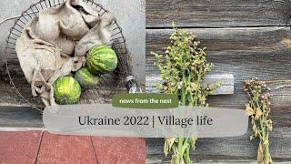 My Ukraine | fall 2022 | life in the village