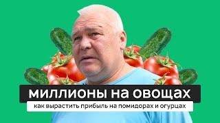 Миллионы на овощах. Как вырастить прибыль на помидорах и огурцах