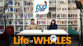 Whales Podcast Begins!  Life at Whales with Sir Kashan Rashid | Ep#1