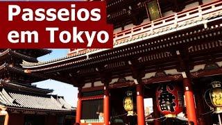 Dicas de passeios imperdíveis em Tokyo