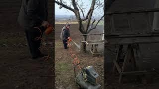 Orchard Spraying Before Bud Burst – How to Get Your Trees Ready for the Season