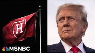 Analyst: Trump ‘running out of leverage’ in escalating feud with Harvard University