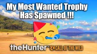 My Most Wanted Trophy Has Spawned ! - theHunter Call Of The Wild.