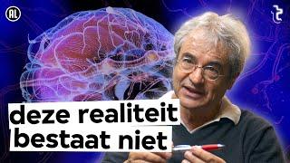 Waarom dé werkelijkheid niet bestaat volgens Carlo Rovelli | VPRO Tegenlicht