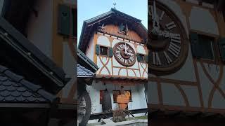 World's largest cuckoo clock in Schonach #largestcuckooclock #cuckooclock #traveling #DE #adventure