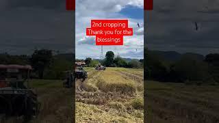 #shortvideo #short #blessings #farmers