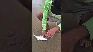 Fishing ultralight gt #fish #fishing #fishinglife #fishingfun #fishingtiktoks #beach #beachfishing