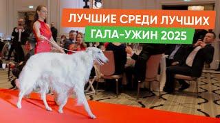 Лучшие собаки России 2025. Церемония награждения