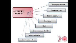 Дәріс -  Иммунитет. Иммунитет түрлері. Антигендер. Антиденелер. Иммунобиологиялық препараттар