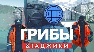 Таджики перепели "Грибы - Тает Лёд" | Пародия