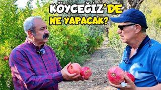 Mayor Maçoğlu explains WHY HE SETTLED IN KÖYCEĞİZ IN A POMEGRANATE GARDEN!